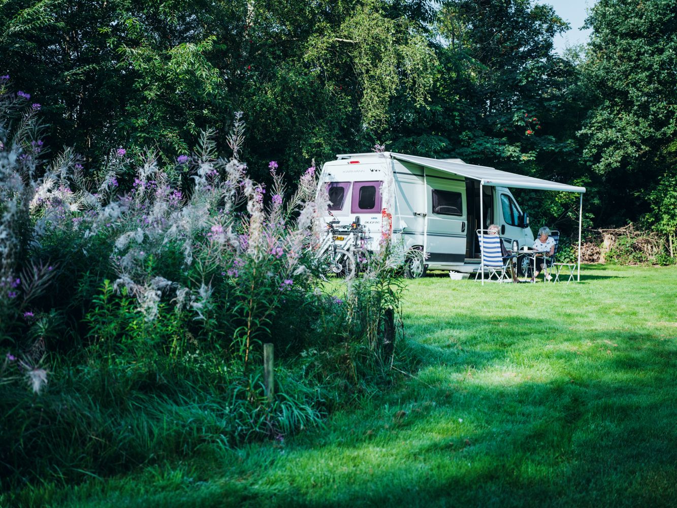 nieuws: Inclusiefnatuur - onze groene projecten