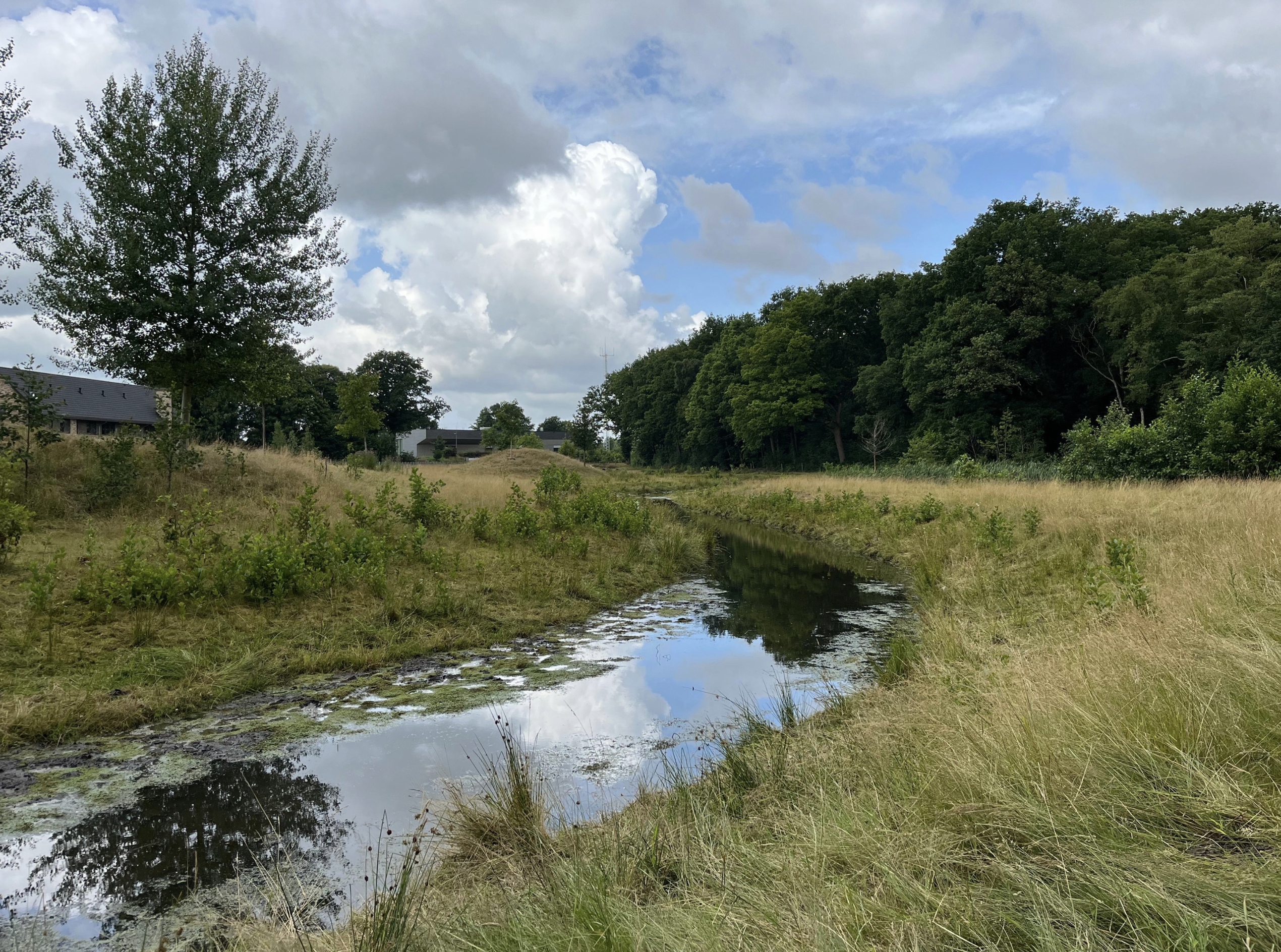 De zoetwaterbuffer van de Veluwe is op