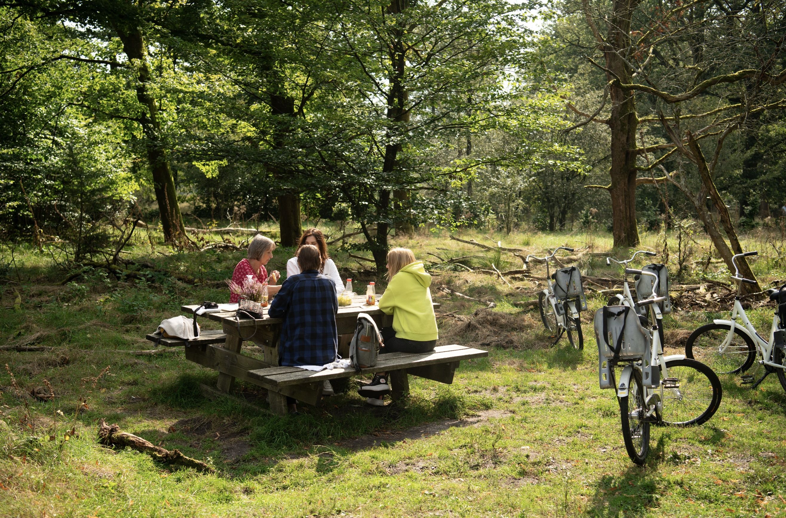 nieuws: Vakantieparken van grote economische betekenis voor de Veluwe