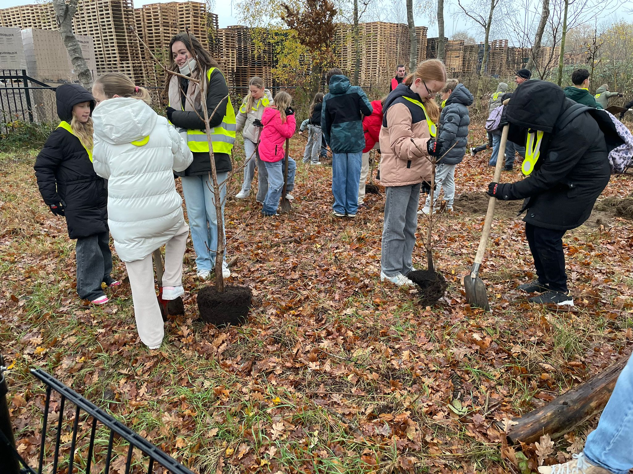 nieuws: Boomplantdag in Krachtighuizen (Putten)